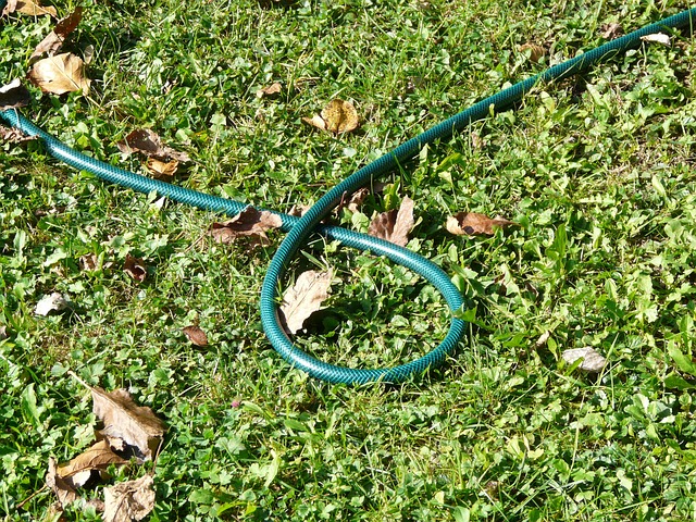 garden-hose-61313_640.jpg